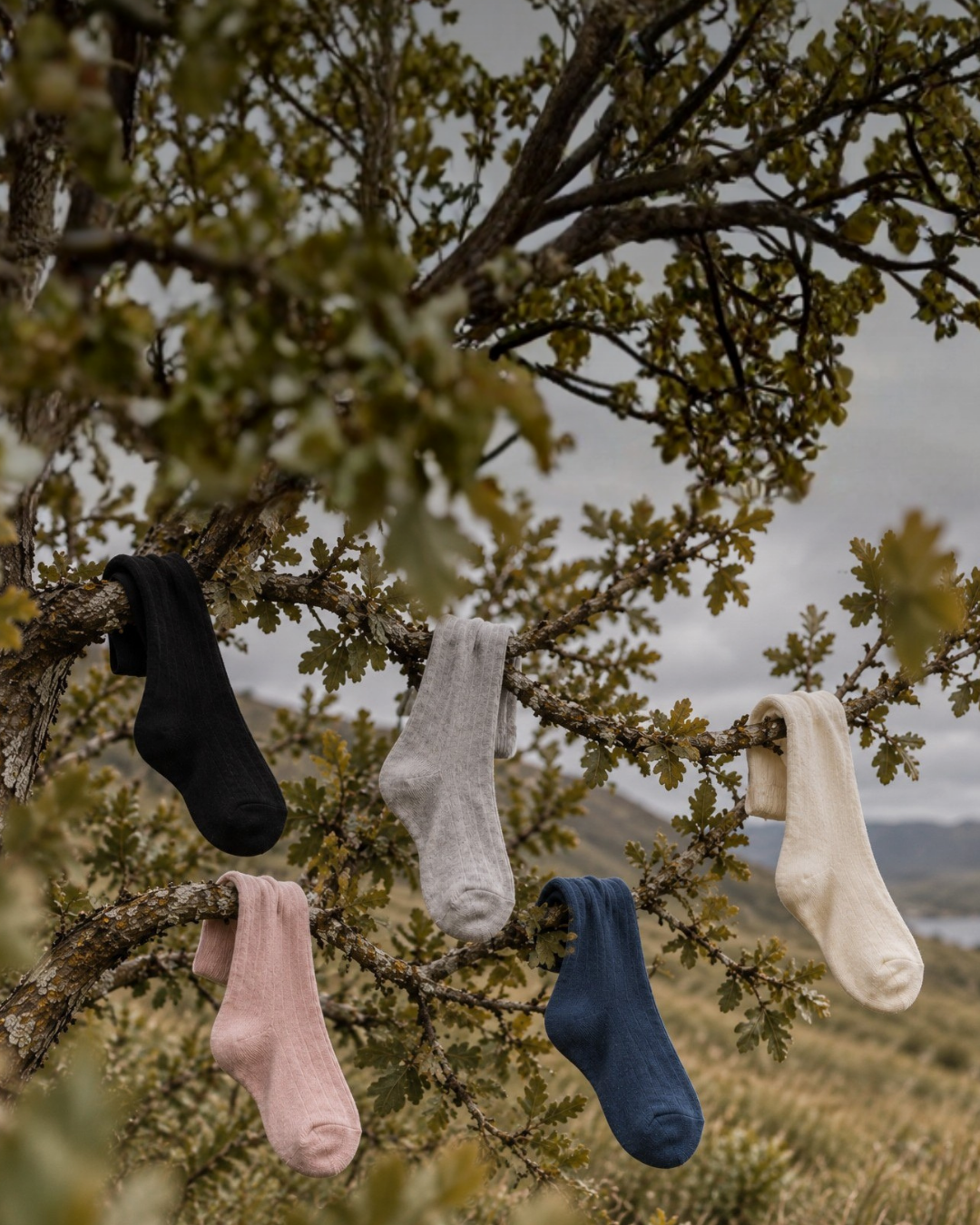Five thick, knitted socks in black, pink, grey, blue, and cream are draped casually over the leafy branches of a tree. The tree stands in a natural landscape with rolling hills and a heavily overcast sky in the background.
