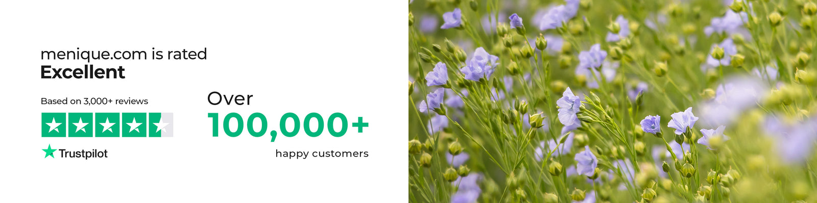 A wide banner featuring customer trust information for menique.com, showing a Trustpilot rating marked as “Excellent” with five green stars based on over 3,000 reviews, alongside text stating “Over 100,000+ happy customers.” The right side of the image displays a close-up of blooming flax flowers with delicate light blue petals and green stems, symbolizing natural materials and sustainability.
